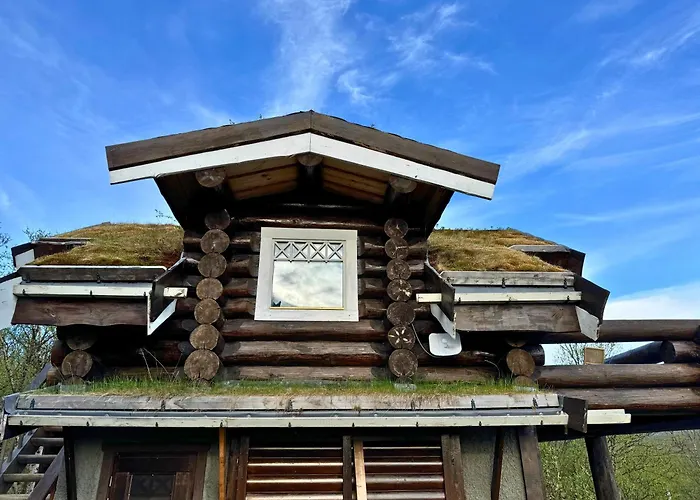Unique Arctic Timber
