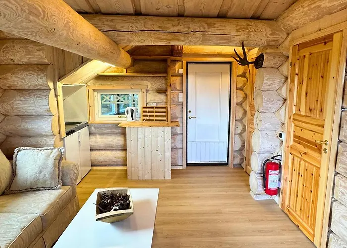 Unique Arctic Timber Lejlighed